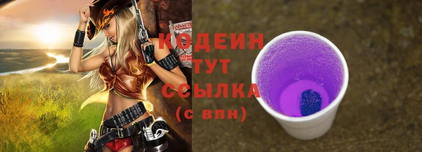 хмурый Белокуриха