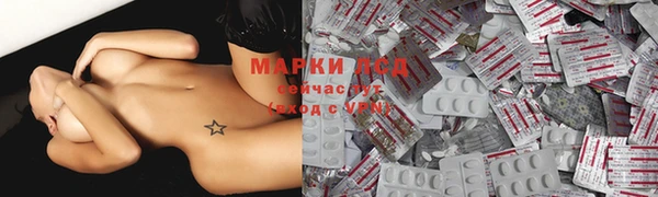 хмурый Белокуриха