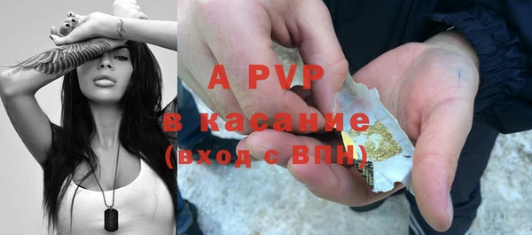 хмурый Белокуриха