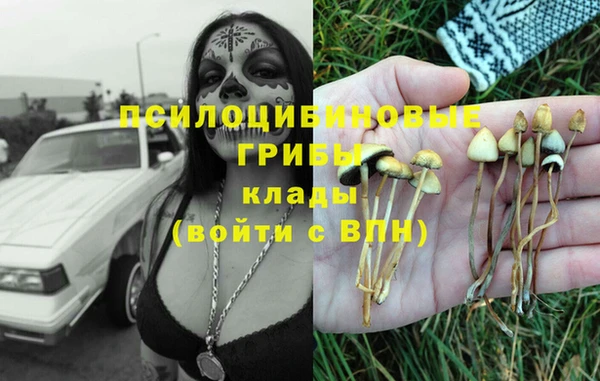 spice Беломорск