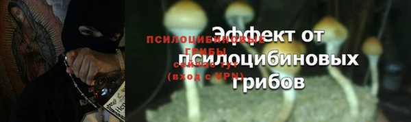 винт Белоозёрский