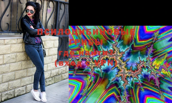 хмурый Белокуриха