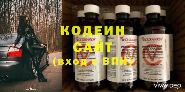 хмурый Белокуриха
