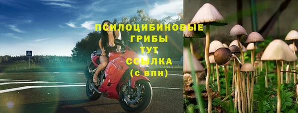 spice Беломорск