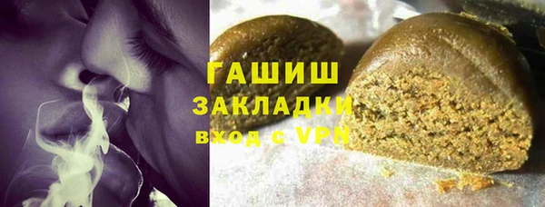 хмурый Белокуриха